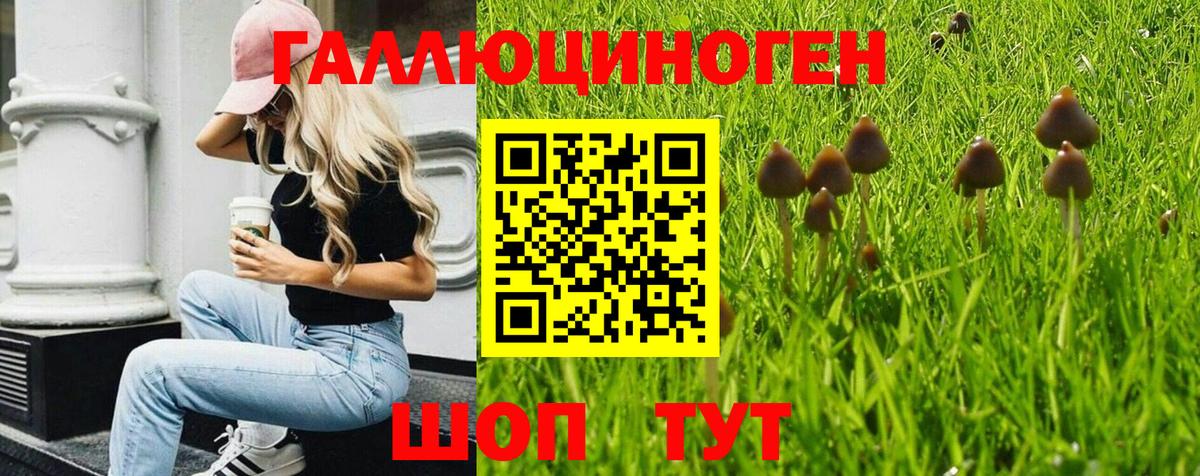 Псилоцибиновые грибы прущие грибы  Псилоцибиновые грибы мицелий  Качканар  Вход с VPN 