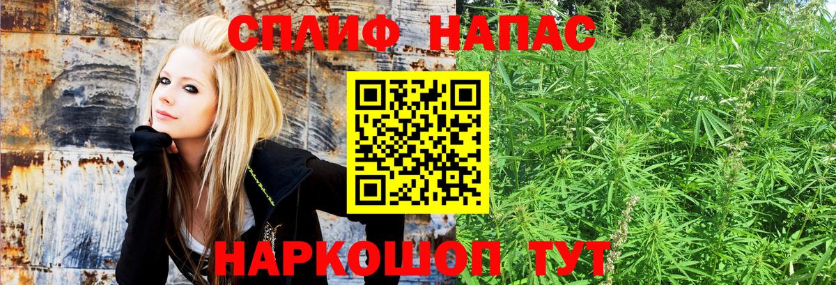 Марихуана конопля  Вход с VPN  Качканар  Шишки марихуана VHQ  Каннабис гибрид  Шишки марихуана OG Kush 